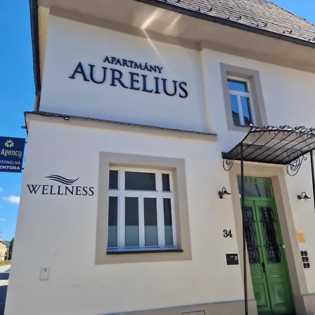 Aurelius Гостевой дом Тренчин